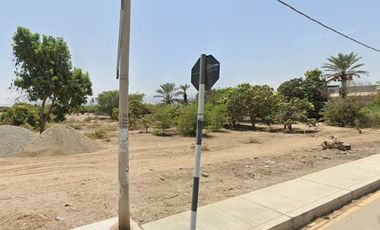 VENTA DE TERRENO AGRICOLA-FUNDO CARHUAYO-ICA