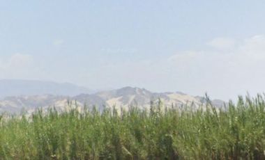 VENTA DE TERRENO AGRICOLA-FUNDO CARHUAYO-ICA