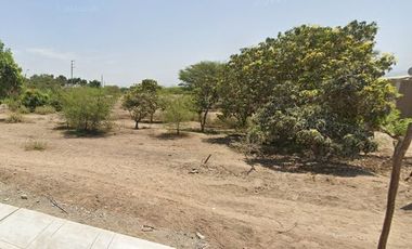 VENTA DE TERRENO AGRICOLA-FUNDO CARHUAYO-ICA