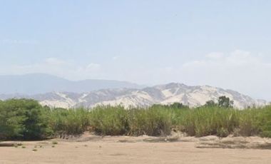 VENTA DE TERRENO AGRICOLA-FUNDO CARHUAYO-ICA