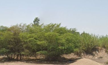 VENTA DE TERRENO AGRICOLA-FUNDO CARHUAYO-ICA