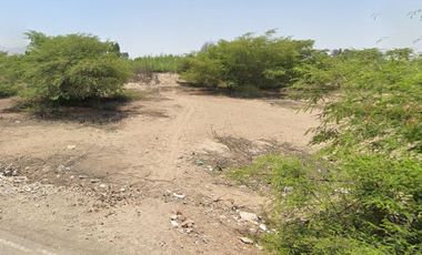VENTA DE TERRENO AGRICOLA-FUNDO CARHUAYO-ICA