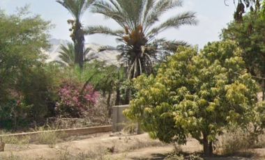 VENTA DE TERRENO AGRICOLA-FUNDO CARHUAYO-ICA