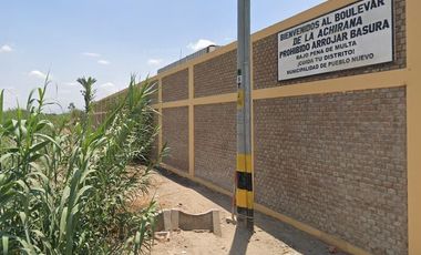 VENTA DE TERRENO AGRICOLA-FUNDO CARHUAYO-ICA