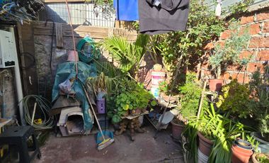 Solo se vende al Contado