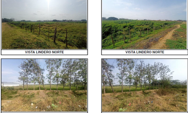 TERRENO EN YAGUACHI NUEVO 20,000.00M2