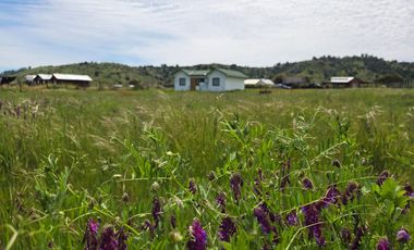Se vende Parcela con casa en Pumanque