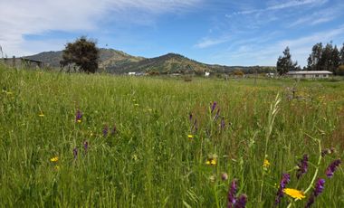 Se vende Parcela con casa en Pumanque
