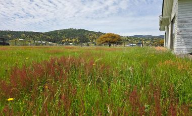 Se vende Parcela con casa en Pumanque
