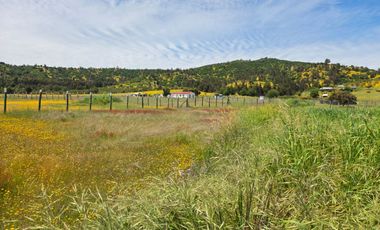 Se vende Parcela en Pumanque