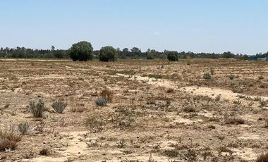 TERRENO EN VENTA SAN FRANCISCO DE LOS ROMO AGUASCALIENTES