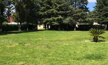 TERRENO CAMPESTRE EN METEPEC