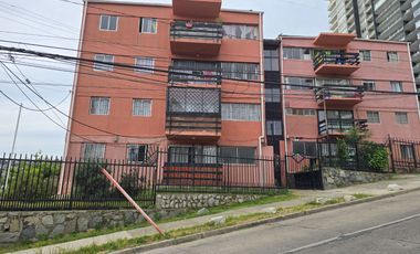 🌿 ¡Vive cómodo y conectado en Isla Picton! 🌿