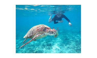 Venta De Terreno Playa 512M2 En El Ñuro//ID: 1160771