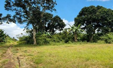SE VENDE TERRENO, VIA FERROVIARIA, MACHALA