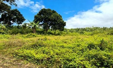 SE VENDE TERRENO, VIA FERROVIARIA, MACHALA