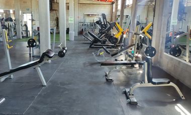 Bodega con 2 locales, Villa Margarita Hidalgo. Sola o con gym.