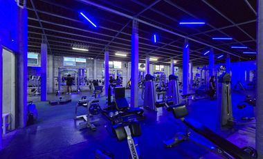 Bodega con 2 locales, Villa Margarita Hidalgo. Sola o con gym.