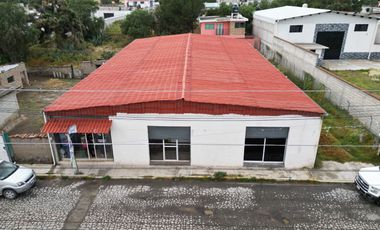 Bodega con 2 locales, Villa Margarita Hidalgo. Sola o con gym.