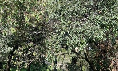 Casa en Venta, Villa Verdún, Ciudad de México