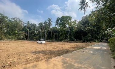 Tanah Sleman SHM Strategis Area Pemda Dekat Jl Magelang