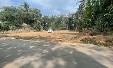 Tanah Sleman SHM Strategis Area Pemda Dekat Jl Magelang