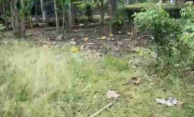 JUAL TANAH DI WIJIMULYO NANGGULAN KULONPROGO