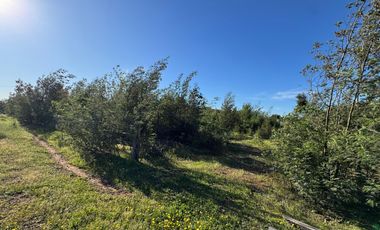 VENDO HERMOSA PARCELA PLANA EN CONDOMINIO CONSOLIDADO CON FACTIBILIDAD REAL DE AGUA Y LUZ CERCANA A CHILLAN