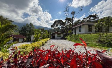 Espectacular Finca rica en agua y rodeada de naturaleza - Ideal para un Hotel ecoturistico stico
