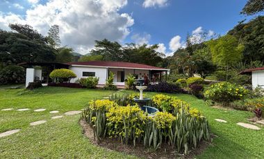 Espectacular Finca rica en agua y rodeada de naturaleza - Ideal para un Hotel ecoturistico stico