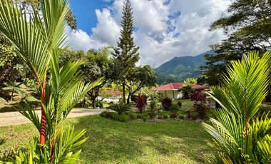 Espectacular Finca rica en agua y rodeada de naturaleza - Ideal para un Hotel ecoturistico stico