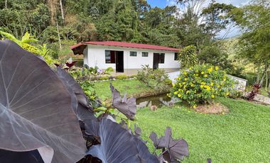 Espectacular Finca rica en agua y rodeada de naturaleza - Ideal para un Hotel ecoturistico stico