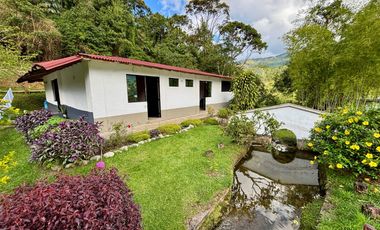 Espectacular Finca rica en agua y rodeada de naturaleza - Ideal para un Hotel ecoturistico stico