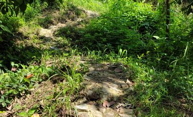 TERRENO DE 5200 MTS2 BORDEADO EN 100 MTS POR VIA VEHICULAR MINCA SANTA MARTA