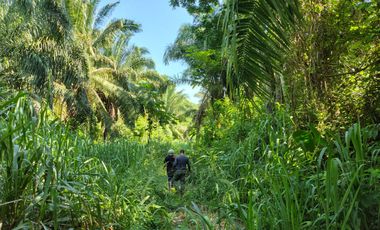 TERRENO DE 5200 MTS2 BORDEADO EN 100 MTS POR VIA VEHICULAR MINCA SANTA MARTA