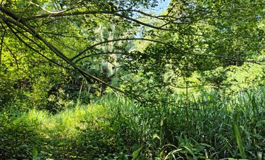 TERRENO DE 5200 MTS2 BORDEADO EN 100 MTS POR VIA VEHICULAR MINCA SANTA MARTA