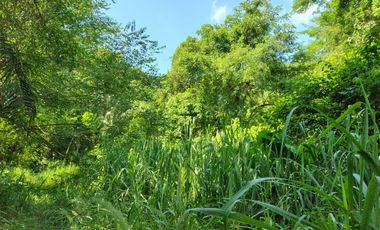 TERRENO DE 5200 MTS2 BORDEADO EN 100 MTS POR VIA VEHICULAR MINCA SANTA MARTA