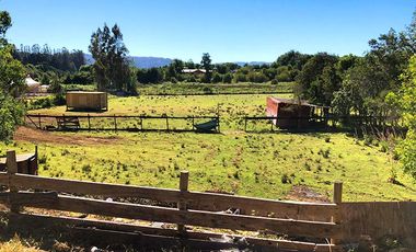 Arriendo Amplia Casa 2 pisos en parcela sector Paillao