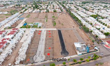 TERRENOS EN VENTA AL PONIENTE ALTA RIVIERA RESIDENCIAL