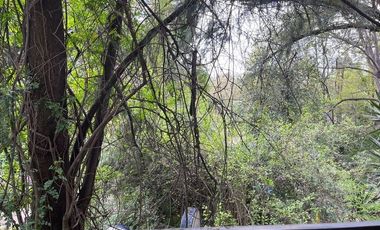 RENTA OFICINA DE 1 PLANTA DENTRO DEL BALNEARIO AGUA AZUL PUEBLA OFI_5278 PUE/GC