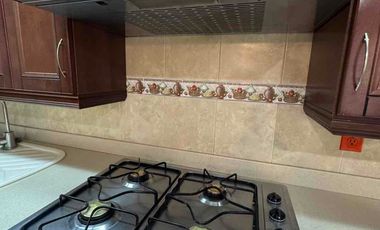 COLOMOS PROVIDENCIA RENTA DEPARTAMENTO