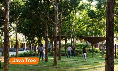 Di jual perum java residence cluster 3 thp 3 tanpa dp