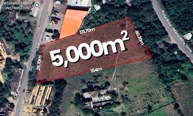 TERRENO EN VENTA EN EL CHOTE PAPANTLA | ARLETTE FLORES