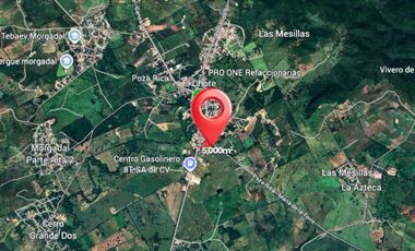 TERRENO EN VENTA EN EL CHOTE PAPANTLA | ARLETTE FLORES