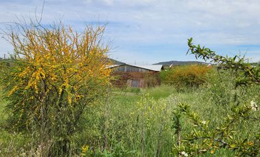 Se vende Parcela con casa en Marchigue