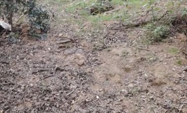 VENTA DE PARCELA DE 3.480 MTS2 UBICADA EN GRANIZO, OLMUÉ- VENTA AL VALOR DEL AVALUO FISCAL