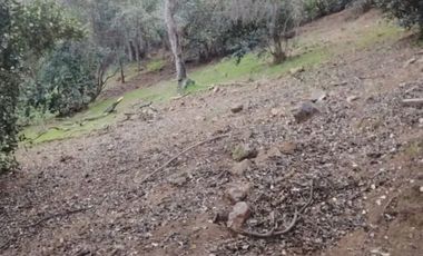 VENTA DE PARCELA DE 3.480 MTS2 UBICADA EN GRANIZO, OLMUÉ- VENTA AL VALOR DEL AVALUO FISCAL