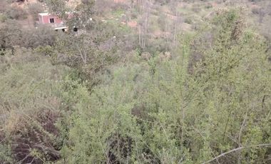 VENTA DE PARCELA DE 3.480 MTS2 UBICADA EN GRANIZO, OLMUÉ- VENTA AL VALOR DEL AVALUO FISCAL