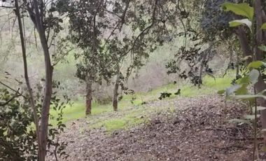 VENTA DE PARCELA DE 3.480 MTS2 UBICADA EN GRANIZO, OLMUÉ- VENTA AL VALOR DEL AVALUO FISCAL