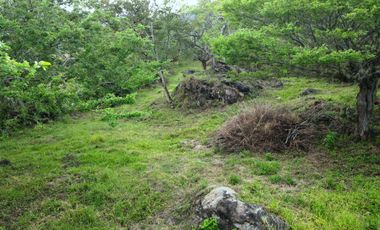 PARCELA CON AGUA POTABLE